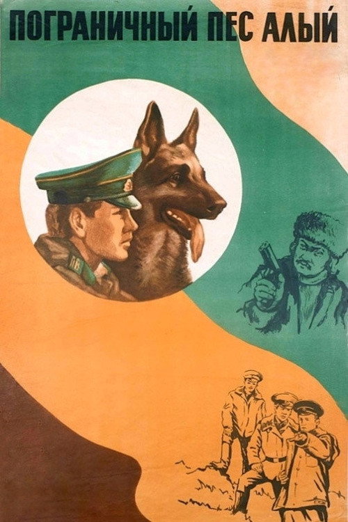 Border dog Alyi poster
