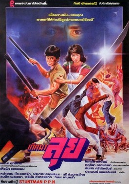 Born to Fight poster
