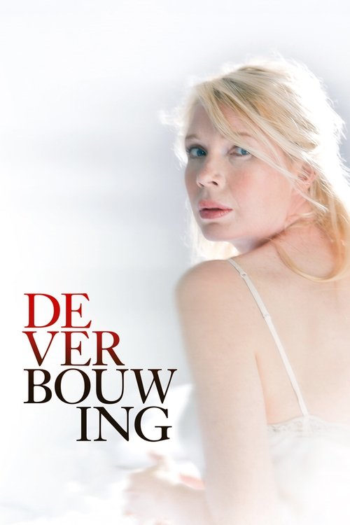 De verbouwing poster