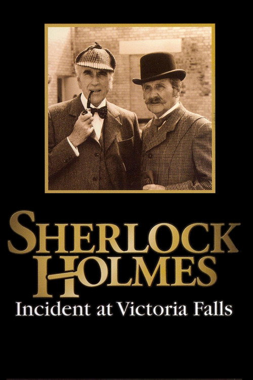 Incident at Victoria Falls poster