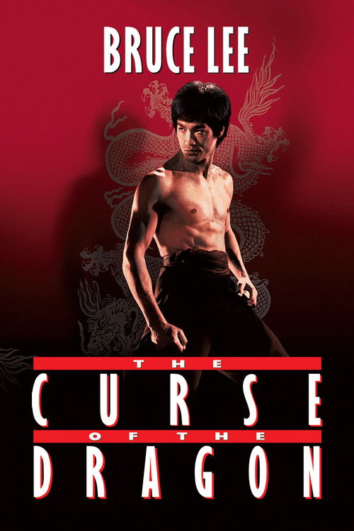 Bruce Lee: The Curse of the Dragon poster