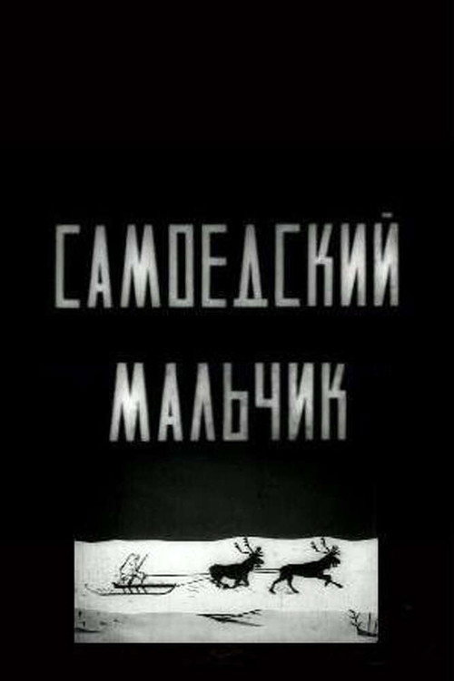 The Samoyed Boy poster