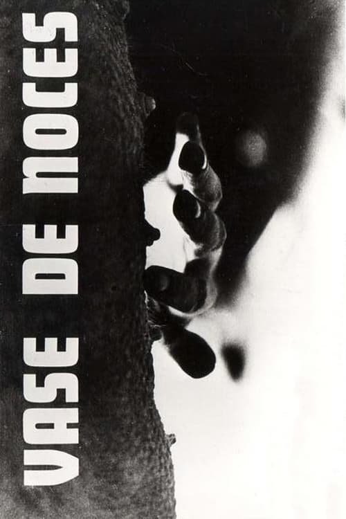 Vase de Noces poster