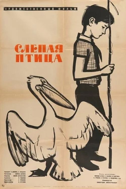 The Blind Bird poster