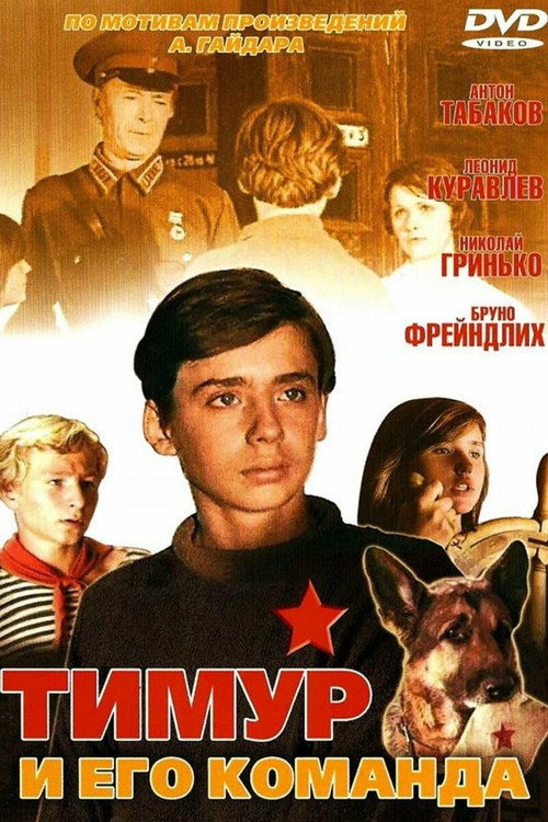 Timur i yego komanda poster