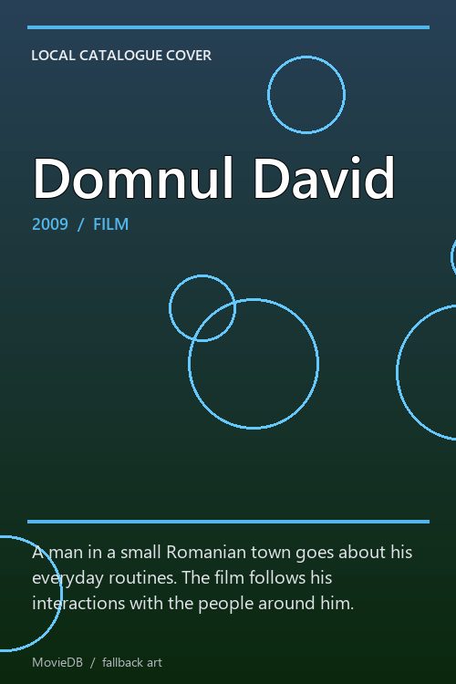 Domnul David poster