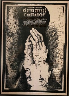 Drumul câinilor poster