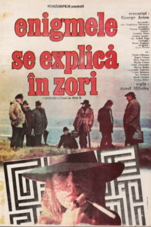 Enigmele se explica in zori poster