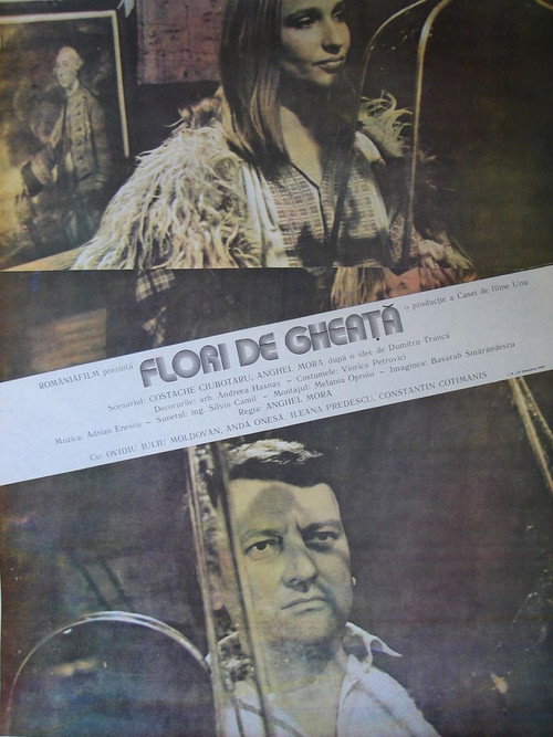 Flori de gheață poster