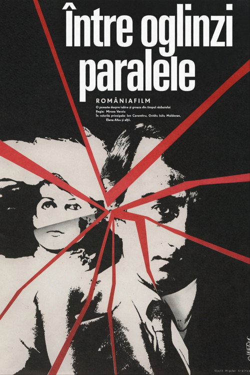 Between Facing Mirrors poster