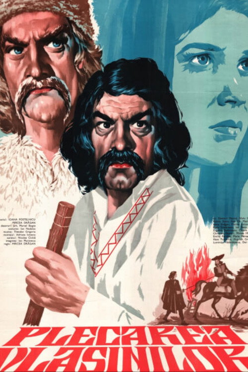Plecarea Vlasinilor poster