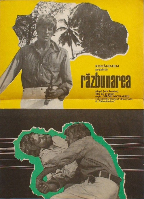 The Revenge poster