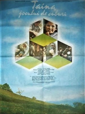 Taina jocului de cuburi poster
