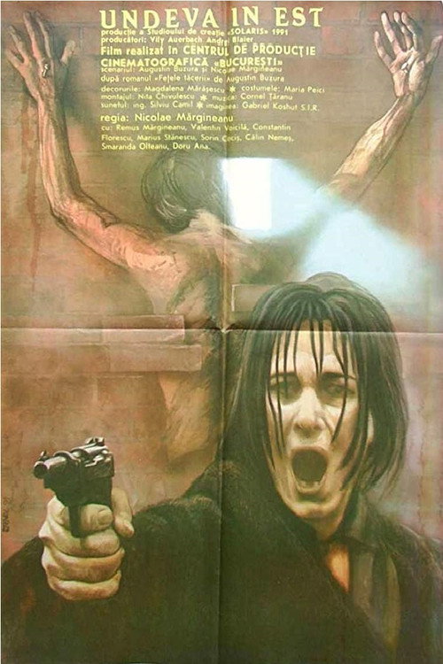 Somewhere in the East poster