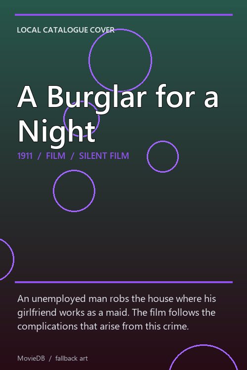 A Burglar for a Night poster