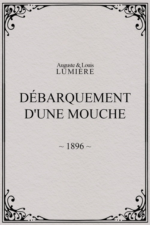 Débarquement d'une mouche poster