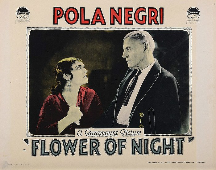 Flower of Night poster