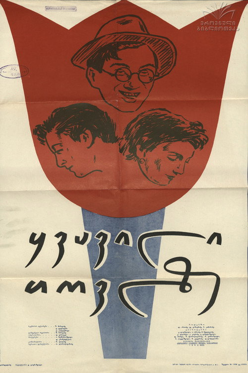 The Flower on the Snow poster