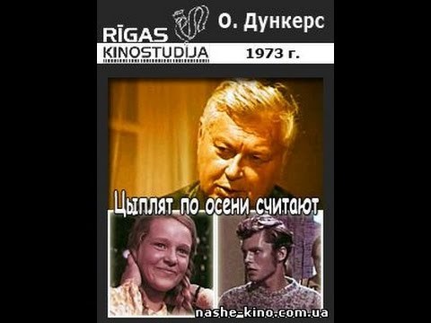 Цыплят по осени считают poster