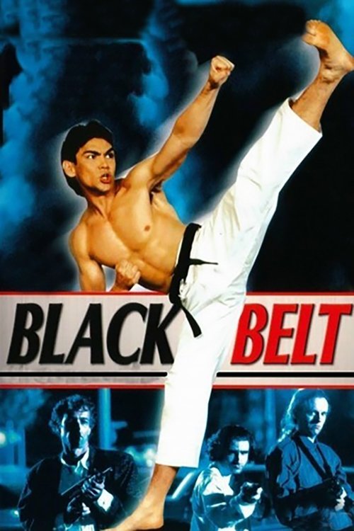Black Belt poster