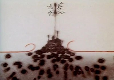 Шаги poster