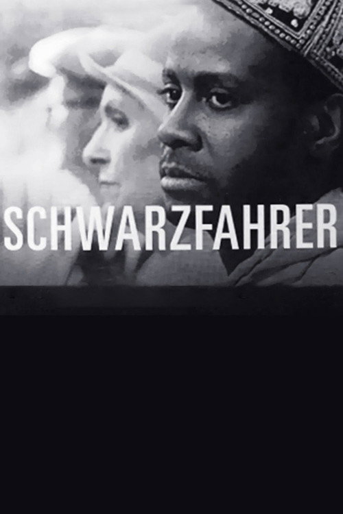 Schwarzfahrer poster