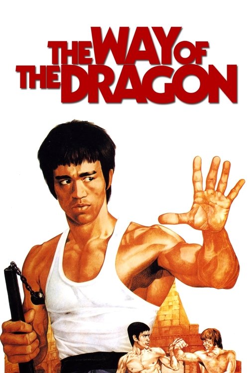 Way of the Dragon poster