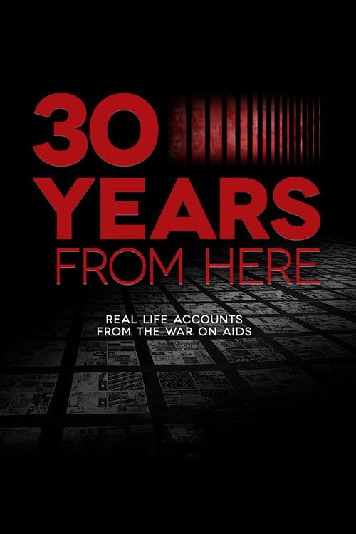 30 Years From Here poster