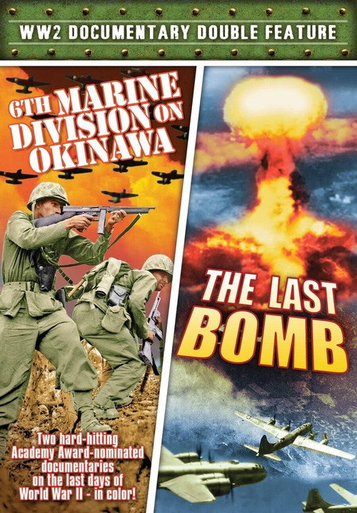 6th Marine Division on Okinawa poster