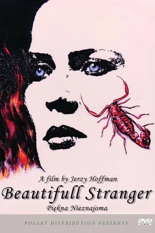 A Beautiful Stranger poster