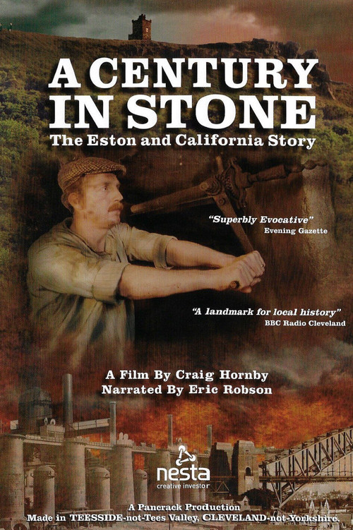 A Century in Stone poster