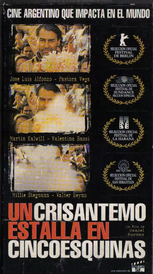 A Chrysanthemum Bursts in Cincoesquinas poster