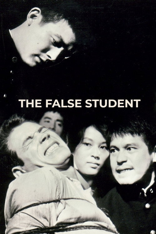 A False Student poster