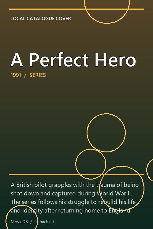A Perfect Hero poster