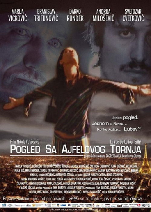 A View from Eiffel Tower poster