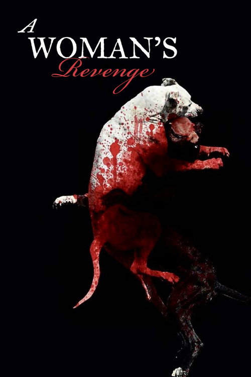 A Vingança de uma Mulher poster