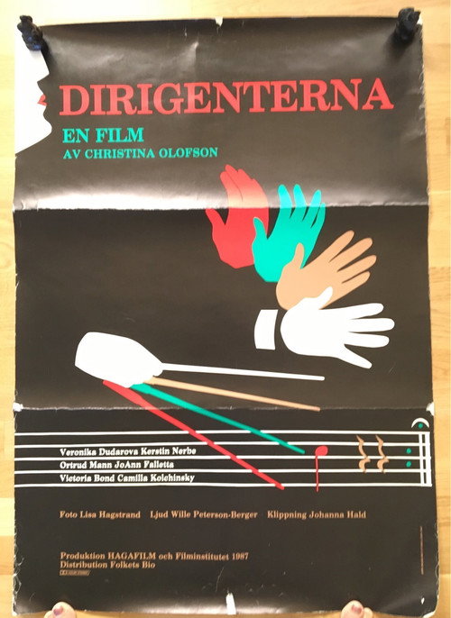 A Woman Is a Risky Bet: Six Orchestra Conductors poster