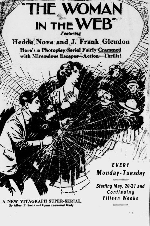 A Woman in the Web poster