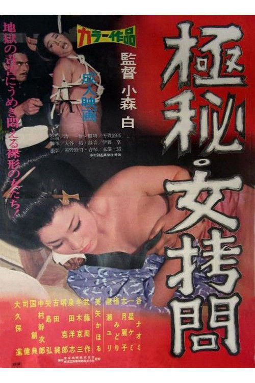 Absolutely Secret: Girl Torture poster