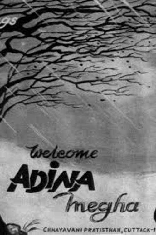 Adina Megha poster