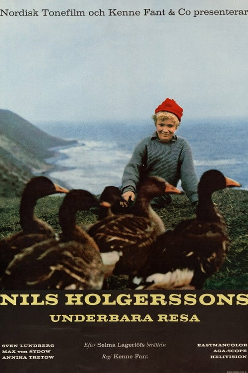 Adventures of Nils Holgersson poster