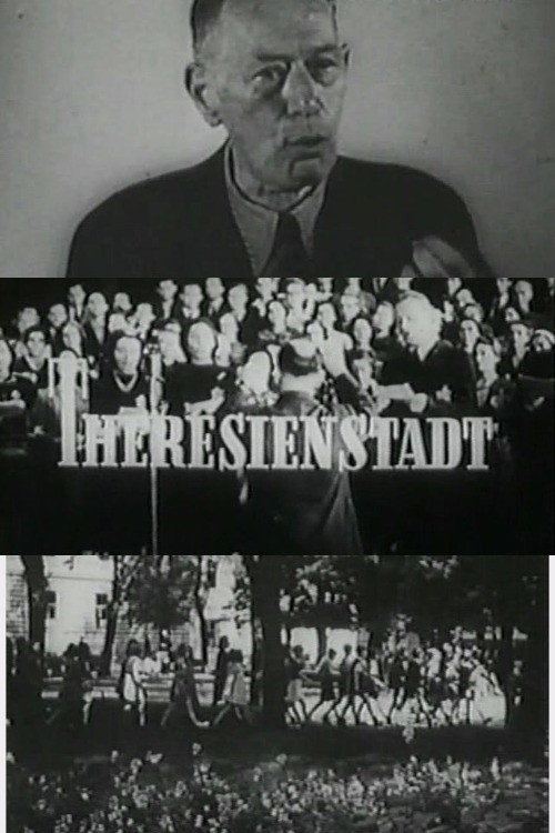 Terezin: A Documentary Film from the Jewish Settlement Area poster