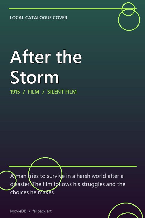 After the Storm poster
