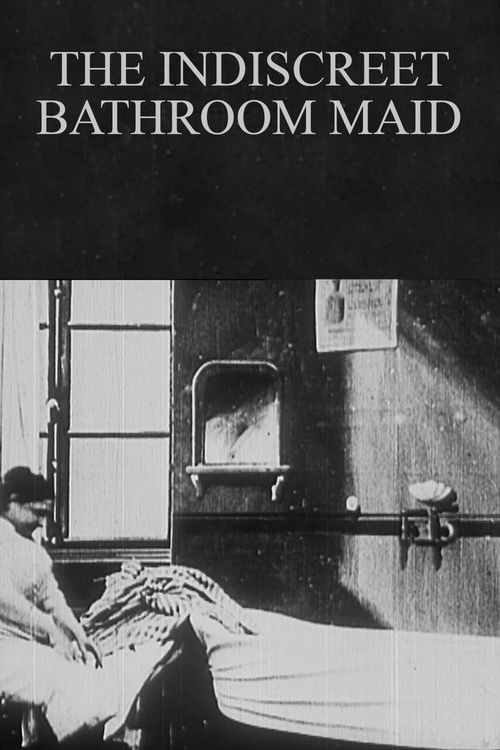 The Indiscreet Bathroom Maid poster