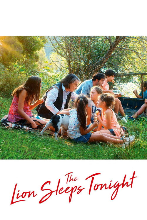 The Lion Sleeps Tonight poster