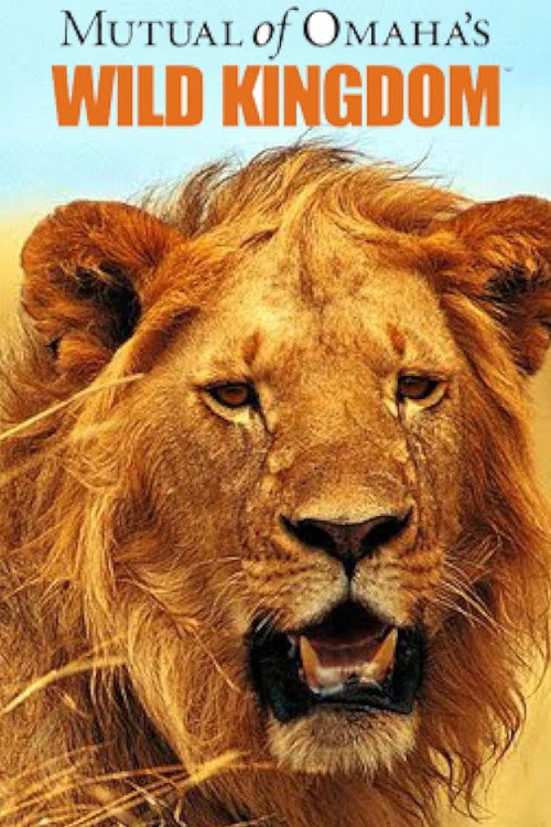 Wild Kingdom poster