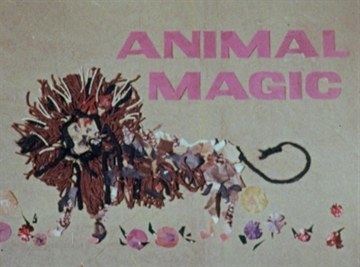Animal Magic poster