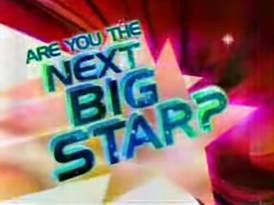 Are You the Next Big Star? poster