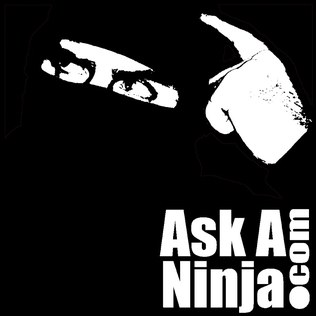 Ask a Ninja poster