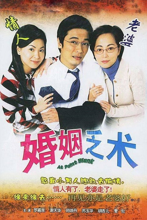 At Point Blank poster